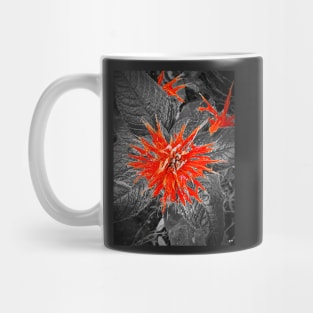 Monarda Bee Balm Flower Mug